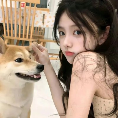 白宫也疯狂海报